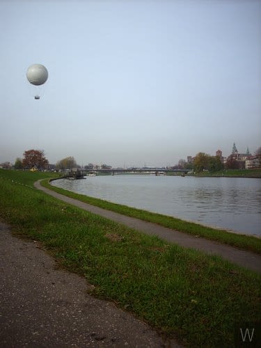 Wafel