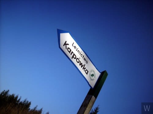 Puszcza Kozienicka