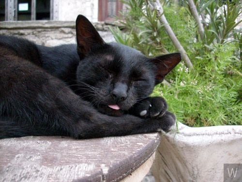 :P